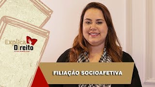 Explica Direito Filiação Socioafetiva  2019 [upl. by Otreblig]