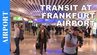 TRANSIT WALK AT FRANKFURT Airport FRA Terminal 1  Connection Flight Transfer Arriving amp Departing [upl. by Asital]